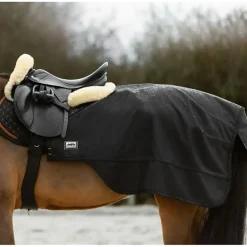 Eskadron Lunge & Exercise Sheet