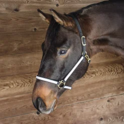 Greenhawk Equestrian Sport Extreme Two Tone Nylon Halter