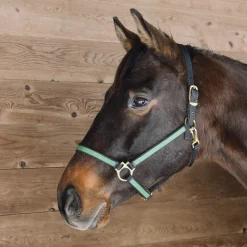 Greenhawk Equestrian Sport Extreme Two Tone Nylon Halter