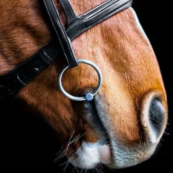 Fager Bits Fager Madeleine Titanium Double-Jointed Loose Ring Bit