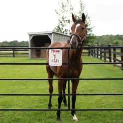Fergus The Horse Fergus Close the Gate Barn Sign