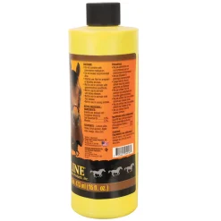 Finish Line Air Power 473 mL