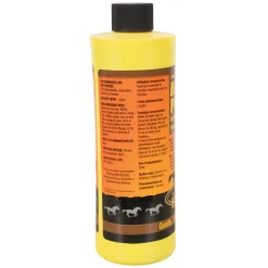 Finish Line Air Power 473 mL