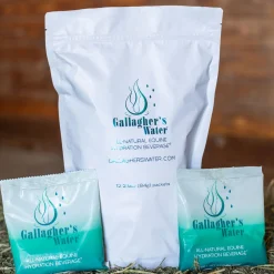 Gallagher's Water - Pack of 12