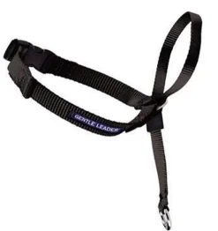 Gentle Leader Head Collar Large Black