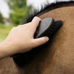 Haas Diamond Noir Brush
