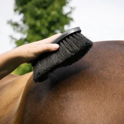 Haas Diamond Noir Brush