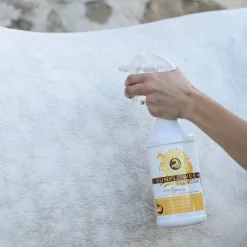 Healthy HairCare Sunflower SunCoat 950 mL