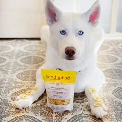 Healthybud Banana Chips Dog Treats 150 g