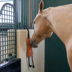 Holland James Fox Horse Toy