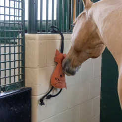 Holland James Fox Horse Toy