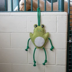Holland James Frog Horse Toy