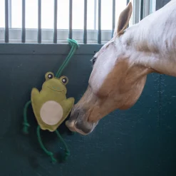 Holland James Frog Horse Toy