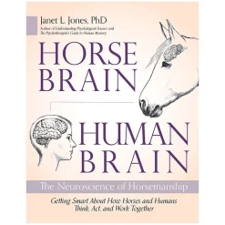 Trafalgar Square Horse Brain, Human Brain