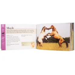 Thomas Allen & Son Horse Breeds of North America