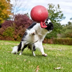 Horsemen's Pride Tug-n-Toss Jolly Ball 25 cm