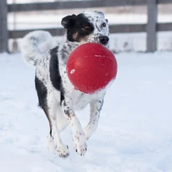 Horsemen's Pride Tug-n-Toss Jolly Ball 20 cm