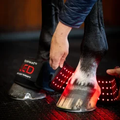 Horseware Ireland Horseware LED Red Light Therapy Mini Wrap