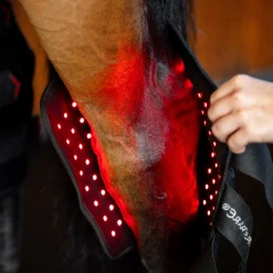 Horseware Ireland Horseware LED Red Light Therapy Right Hock Boot