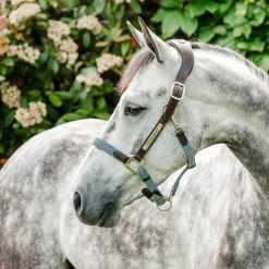 Horseware Ireland Horseware Signature Braided Breakaway Halter