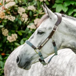Horseware Ireland Horseware Signature Braided Breakaway Halter
