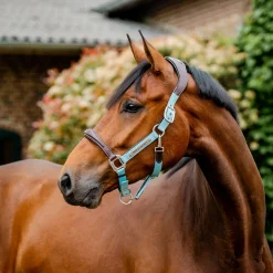 Horseware Ireland Horseware Signature Competition Halter