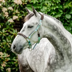 Horseware Ireland Horseware Signature Competition Halter