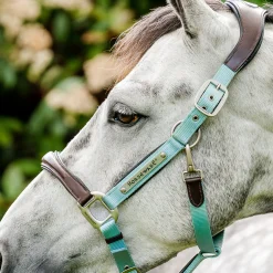 Horseware Ireland Horseware Signature Competition Halter