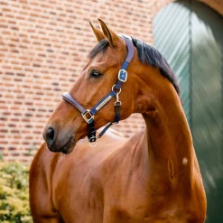 Horseware Ireland Horseware Signature Competition Halter