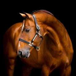 Horseware Ireland Horseware Signature Leather Halter