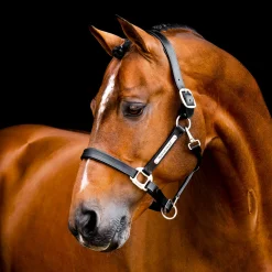Horseware Ireland Horseware Signature Leather Halter