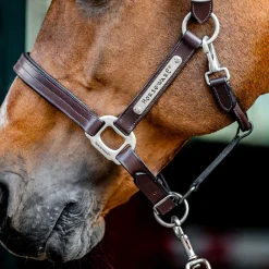 Horseware Ireland Horseware Signature Leather Halter