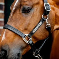Horseware Ireland Horseware Signature Leather Halter