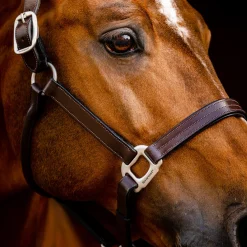 Horseware Ireland Horseware Signature Leather Halter