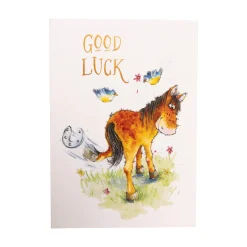 Bella Flor Ink on Paper Horse Kicking Shoe Good Luck Card