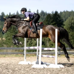 Women Kerrits Breeze Ice Fil Short Sleeve Print Top