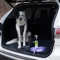 Kin + Kind Lemongrass Outdoor Shield Pet Spray 354 mL