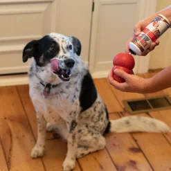 Kong Easy Treat Liver Paste