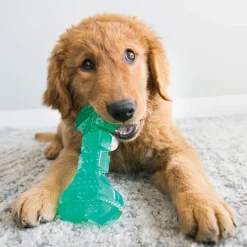 Kong Squeezz Dental Bone