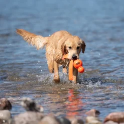 Kong Water Wubba - Large