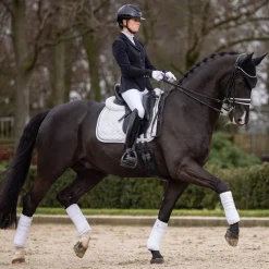 LeMieux Crystal Suede Dressage Saddle Pad