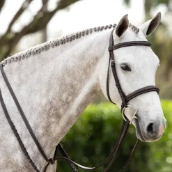 LeMieux Hunter Bridle W/ Reins
