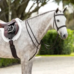 LeMieux Hunter Standing Martingale