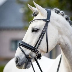 LeMieux Kudos Classic Dressage Bridle