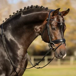 LeMieux Kudos Classic Dressage Bridle