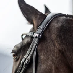 LeMieux Kudos Classic Dressage Bridle