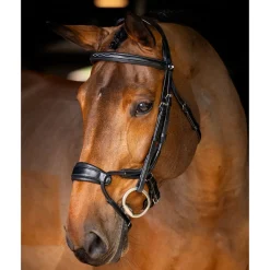 LeMieux Kudos Clear Arc Bridle
