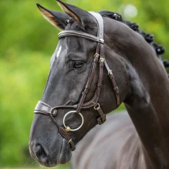 LeMieux Kudos Clear Arc Bridle
