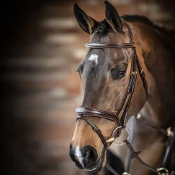 LeMieux Kudos Competition Flash Bridle