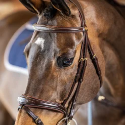 LeMieux Kudos Competition Flash Bridle